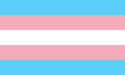 transgender flag