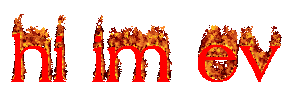 hi im ev in flaming text